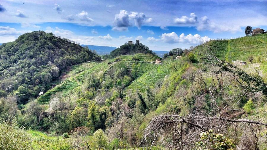 Agriturismo Al Credazzo Farra di Soligo ภายนอก รูปภาพ
