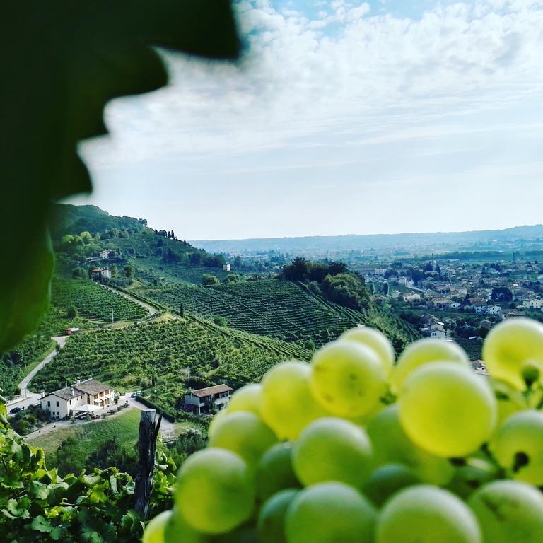 Agriturismo Al Credazzo Farra di Soligo ภายนอก รูปภาพ